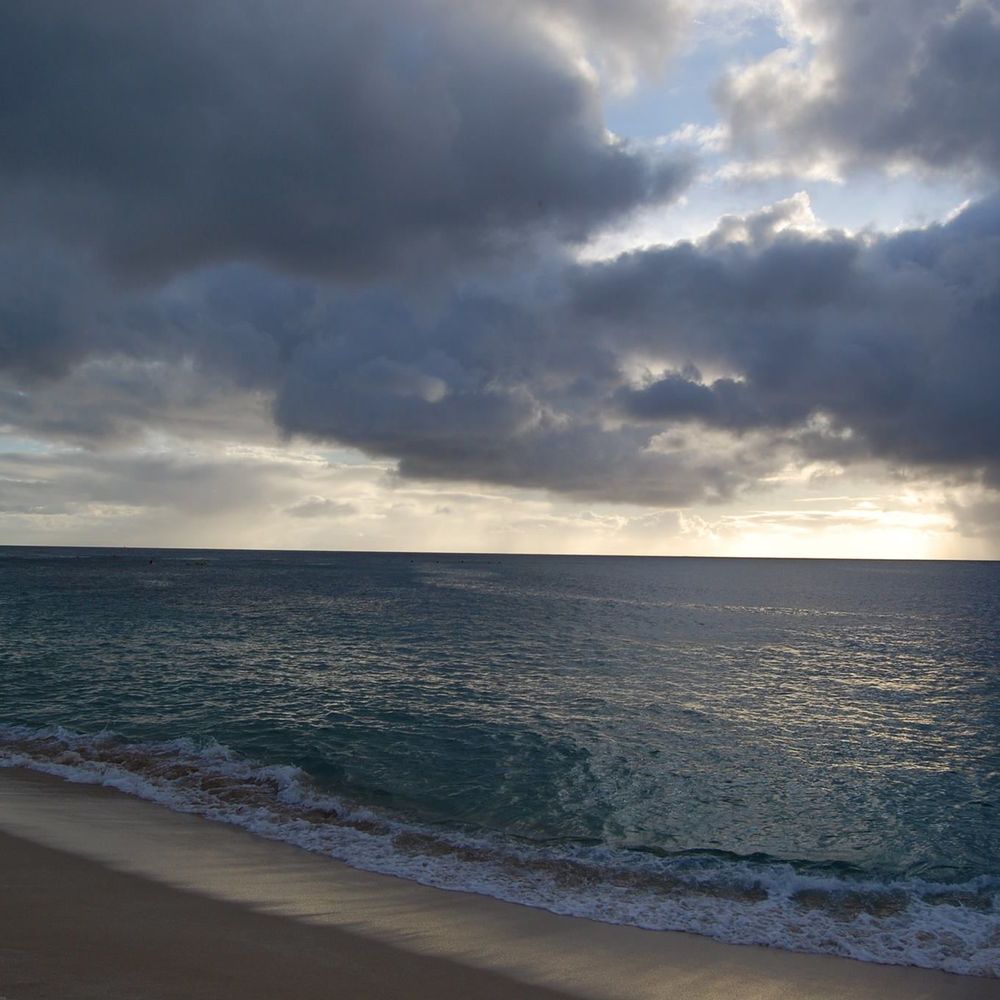 Meet your Posher, Corinne